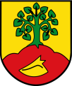 Wappen Altenberge (Westf).png