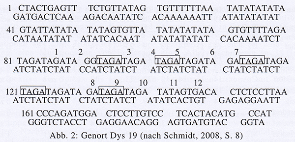 Preuschoff-DNA-Abb2.jpg
