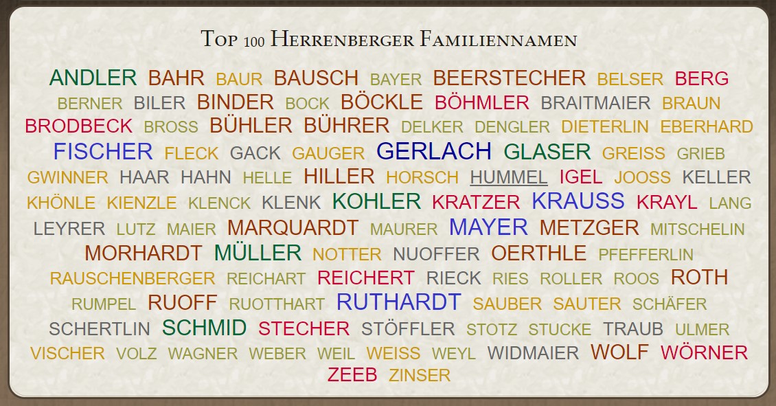 Top100 Herrenberger Familiennamen Namenswolke