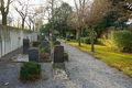Judenfriedhof-Juelich 3257.jpg