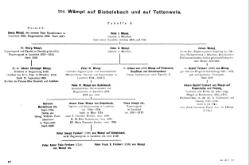 Krick-212-Stammtafeln.djvu