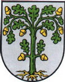 Wappen von Rinnthal.png