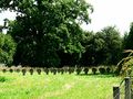 Laugszargen Soldatenfriedhof.jpg