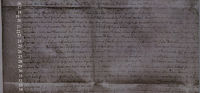 Urkunde Testament Agnese von Thye 16250118 3.jpg