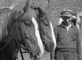 Lindenberg (Ostp.) - Ksp. Aulenbach - 1934 - Bauer mit Pferd bei Lindicken.jpg