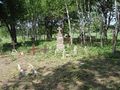 22.05.2012 Schießgirren Friedhof 1 Ansicht 4.JPG