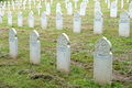 Militärfriedhof-Weiler 5588.JPG