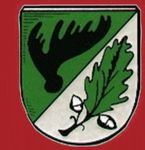Wappen von Heydekrug