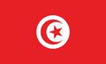Tunesien-flag.jpg
