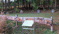 Jued Friedhof Bleibuir4371.JPG
