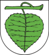 Wappen der Stadt Hasselfelde.png