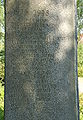 SanktVit-Kriegerdenkmal-WK1-Tafel 2979.JPG
