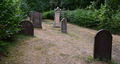 Judenfriedhof-Vörden 0176.JPG