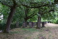 Judenfriedhof-Vörden 0173.JPG