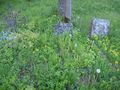 22.05.2012 Launen Friedhof 1 Ansicht 2.JPG