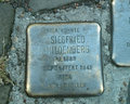 Mildelberg Siegfried.jpg
