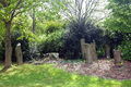 Zons-Heidefriedhof 0664.JPG