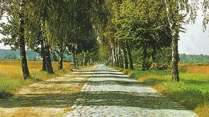 Landstraße mit Sommerweg im Kreis Ragnit