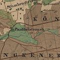 Paulbeistrauch URMTB065 1861.jpg